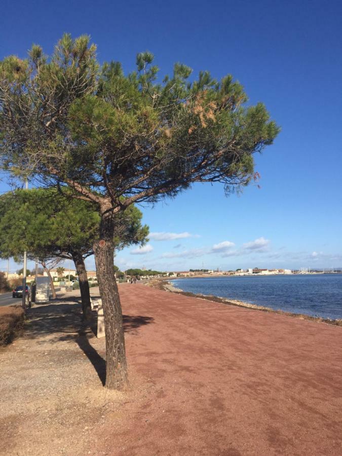 La Scribote Apartment Marseillan  Exterior foto